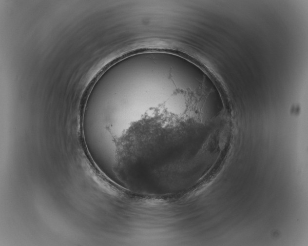 X0000113230837200909241521