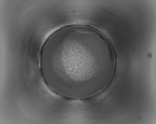 X0000113230838200909241521