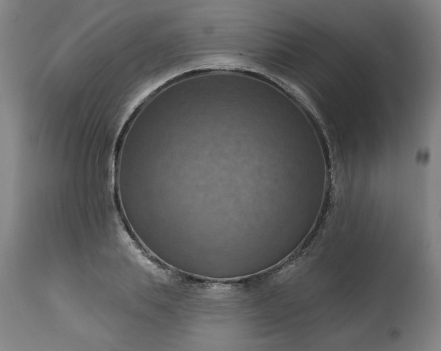 X0000113230839200909241521