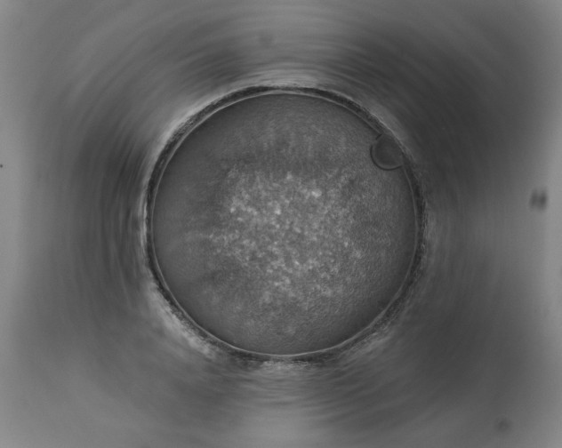 X0000113230840200909241521