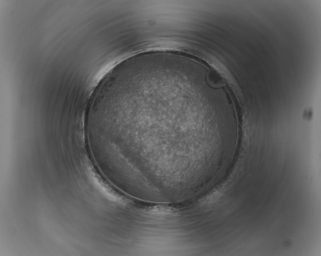 X0000113230842200909241521