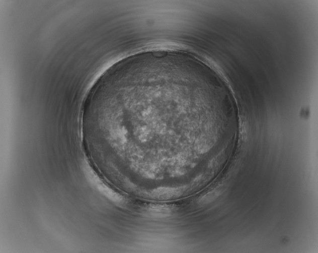 X0000113230843200909241521