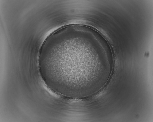 X0000113230846200909241521