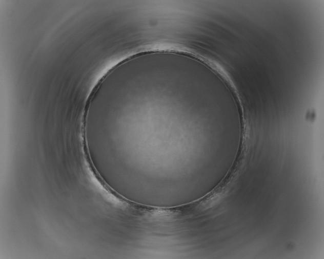 X0000113230847200909241521