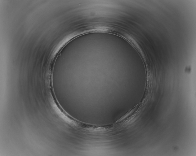 X0000113230851200909241521