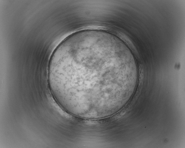 X0000113230852200909241521