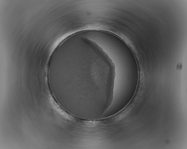 X0000113230854200909241521