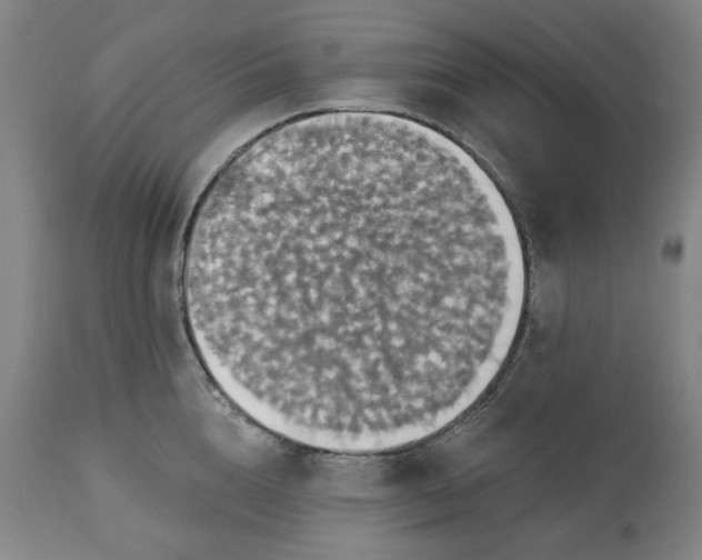 X0000113230856200909241521