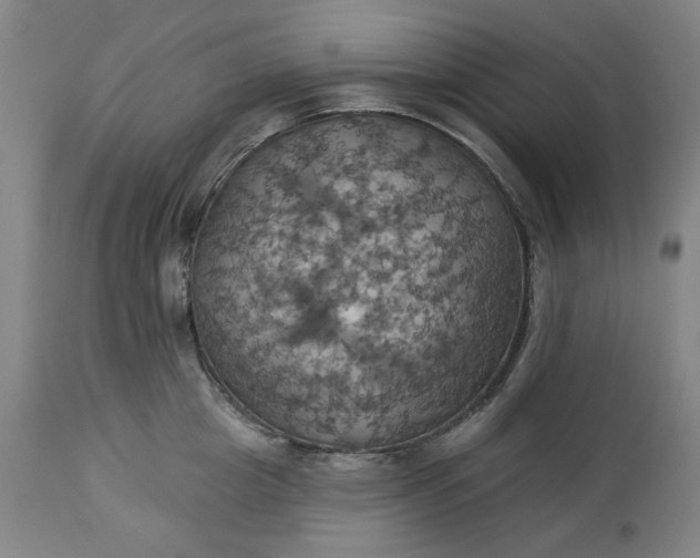 X0000113230857200909241521