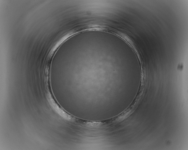 X0000113230859200909241521