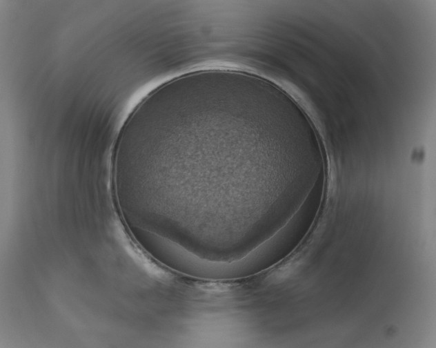 X0000113230862200909241521