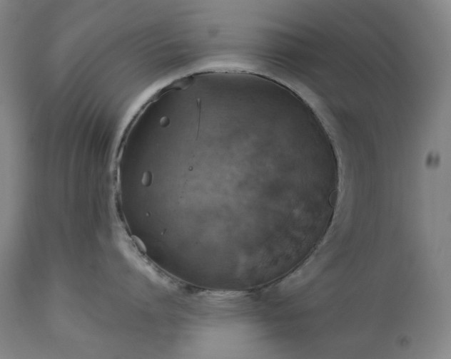 X0000113230864200909241521