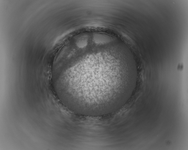 X0000113230870200909241520