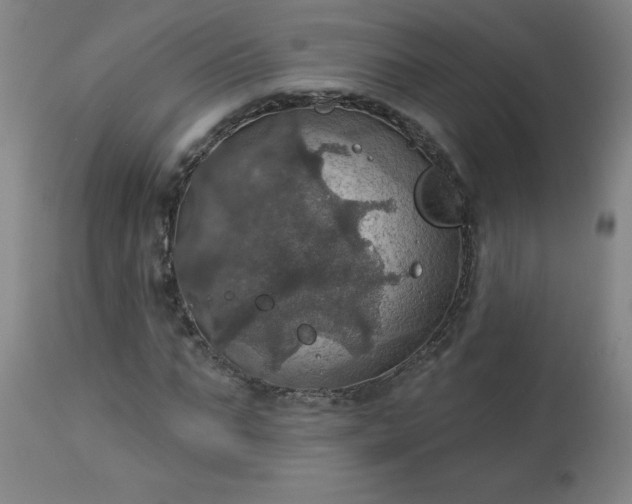 X0000113230871200909241520