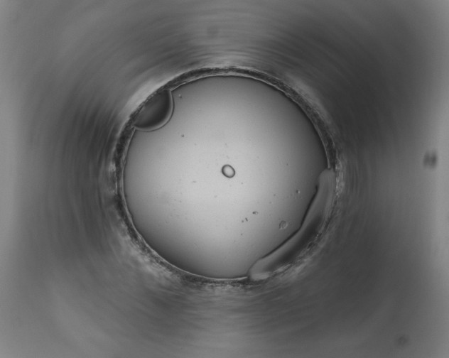 X0000113230876200909241520