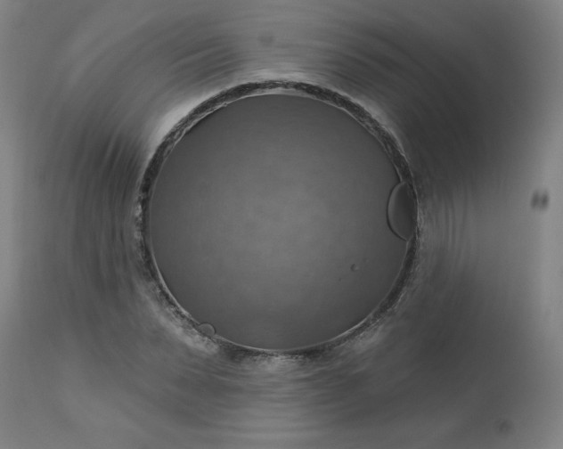 X0000113230879200909241520