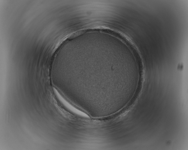 X0000113230881200909241520