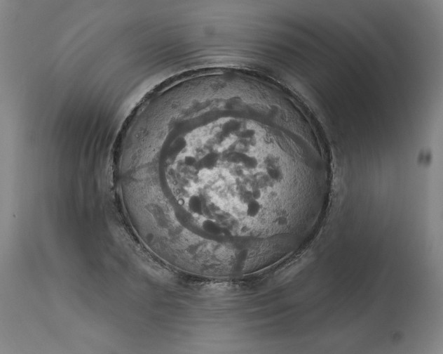 X0000113230883200909241520