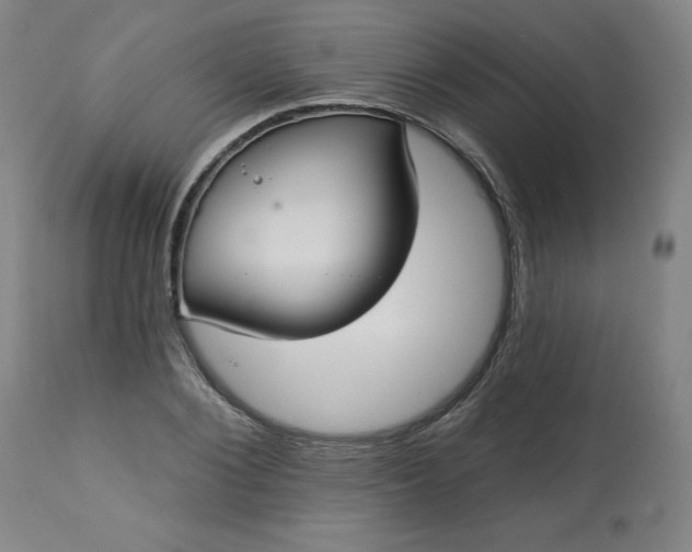 X0000113230884200909241520