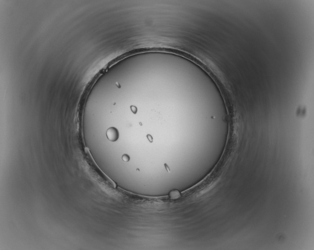 X0000113230885200909241520