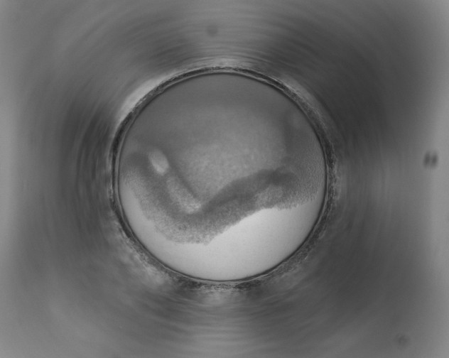 X0000113230886200909241520