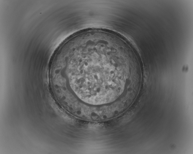 X0000113230887200909241520