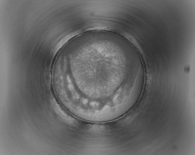 X0000113230890200909241520