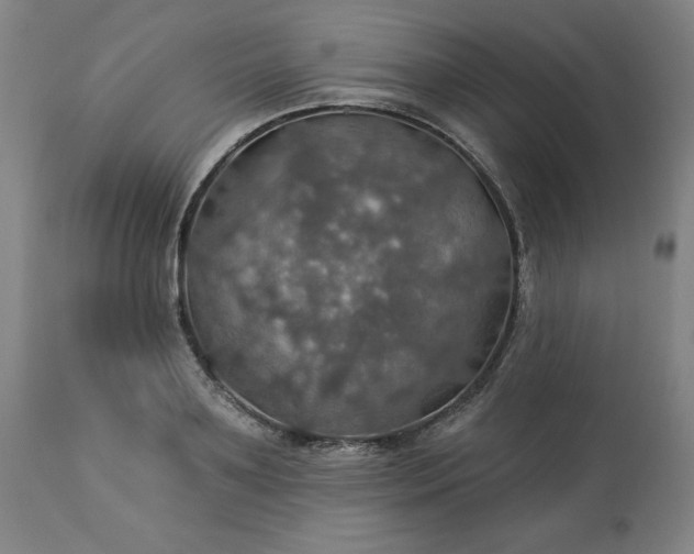 X0000113230891200909241520