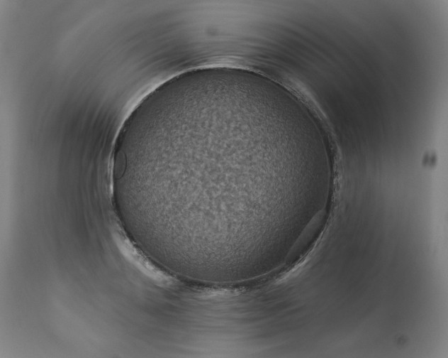 X0000113230892200909241520