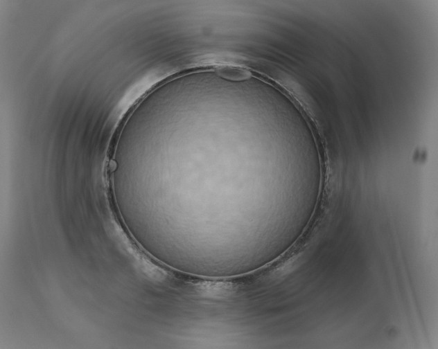 X0000113230893200909241520