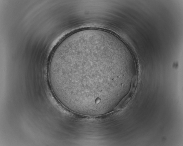 X0000113230896200909241520