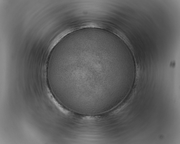 X0000113230898200909241520