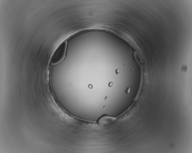 X0000113230900200909241520