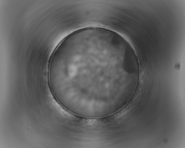 X0000113230903200909241520