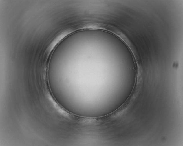 X0000113230909200909241520