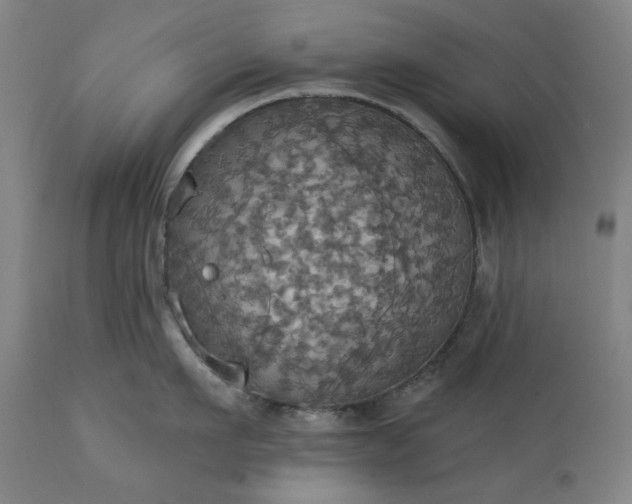 X0000113230911200909241520