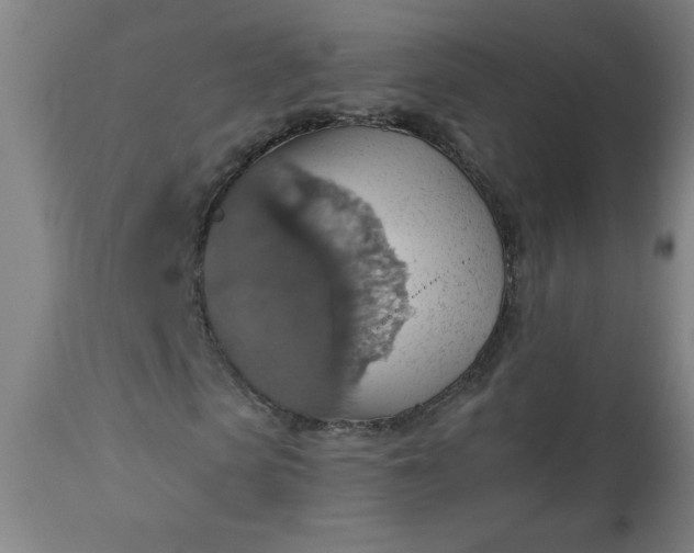 X0000113230913200909241519