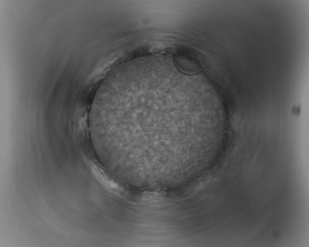 X0000113230914200909241519