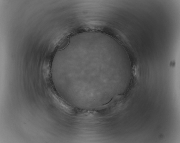 X0000113230915200909241519