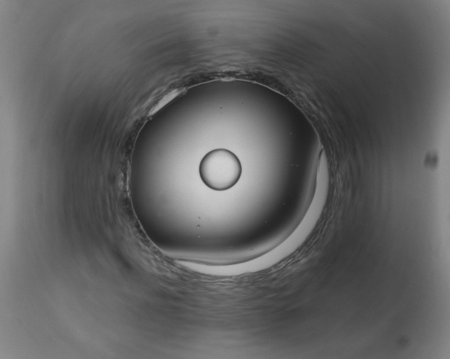 X0000113230916200909241519