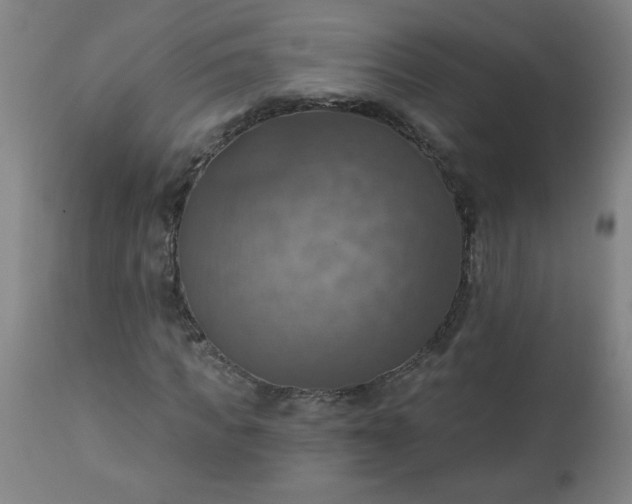 X0000113230917200909241519