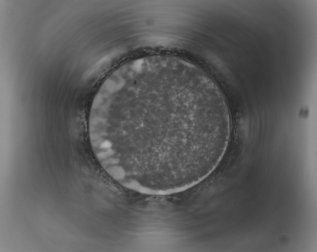 X0000113230918200909241519