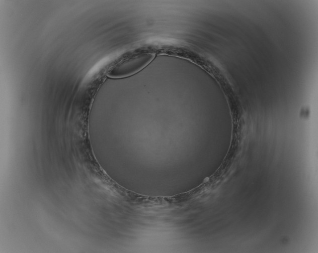 X0000113230919200909241519