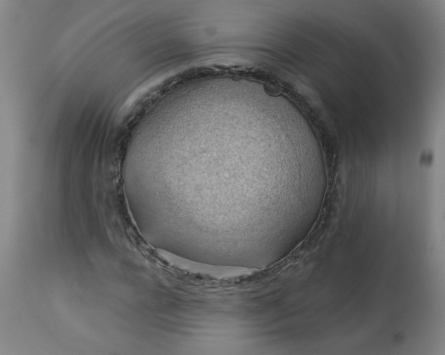 X0000113230920200909241519