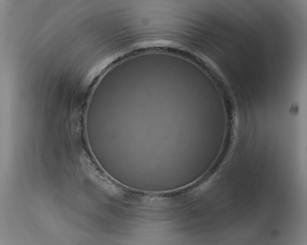 X0000113230921200909241519