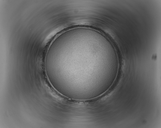 X0000113230922200909241519