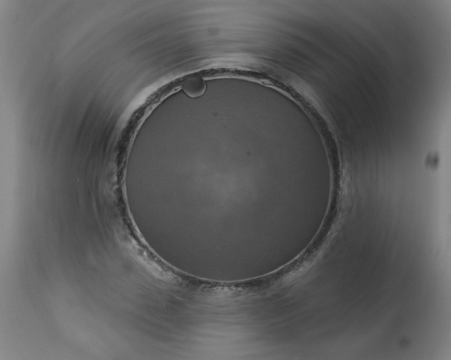 X0000113230923200909241519