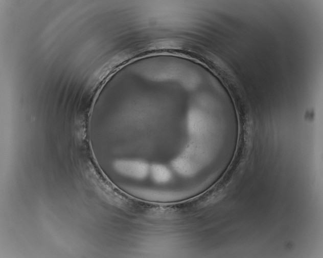 X0000113230929200909241519