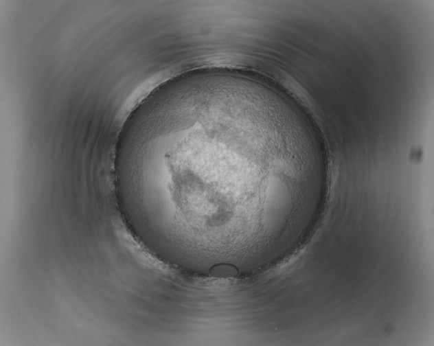 X0000113230930200909241519