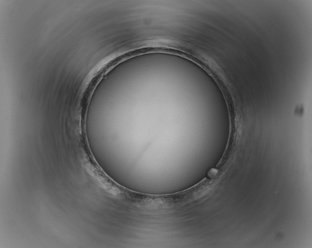 X0000113230931200909241519